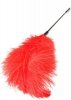 Double Feather Tickler Red